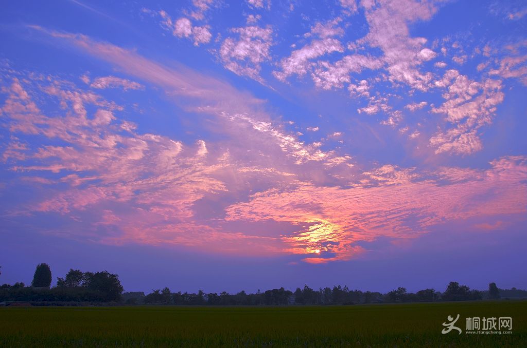 ���� 20654446840000.jpg