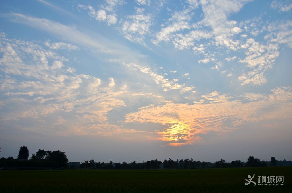 ���� 20654446840.jpg