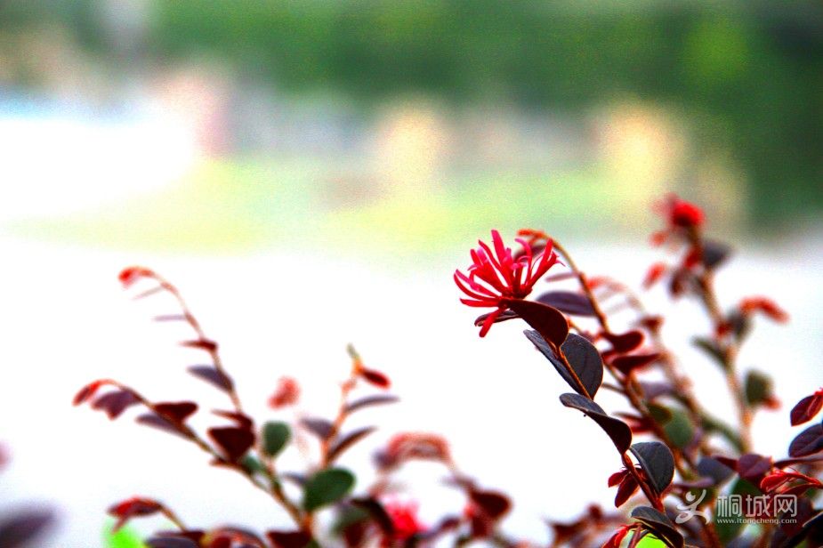 f/7,����1/60��iso200������135������6�����ߴ���ǰ