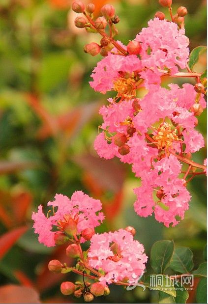 f/7��1/800s,135mm,����3��࣬�������