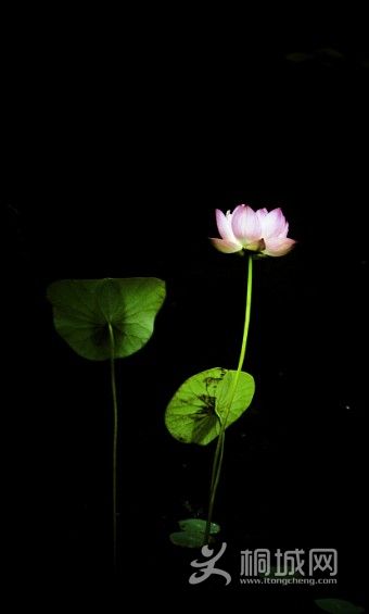 1/100s,f7.1,iso200,135mm,����8���ӣ�����