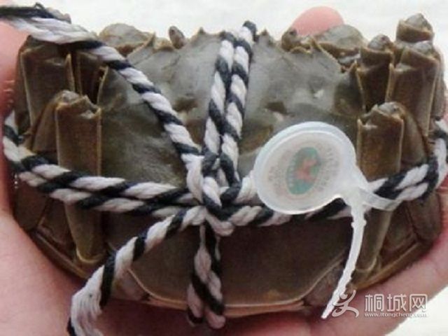 2012041332799825_jpg_thumb.jpg
