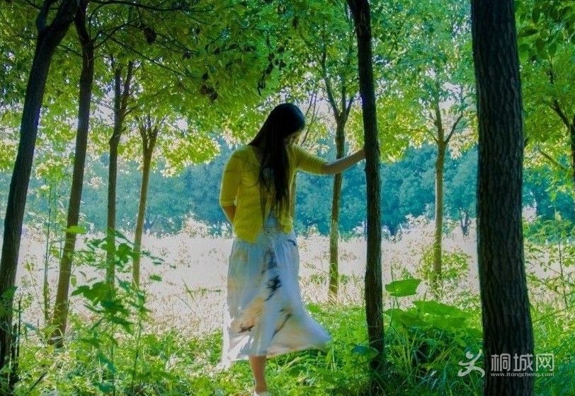 ����ʱ-�������ǳ�