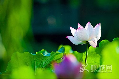 26_160820_3.jpg