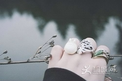 20100927145221892.jpg