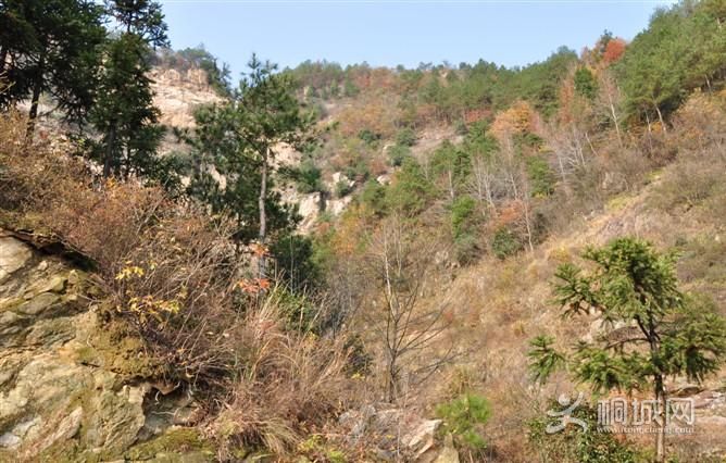 ͩ����������-ͩ����