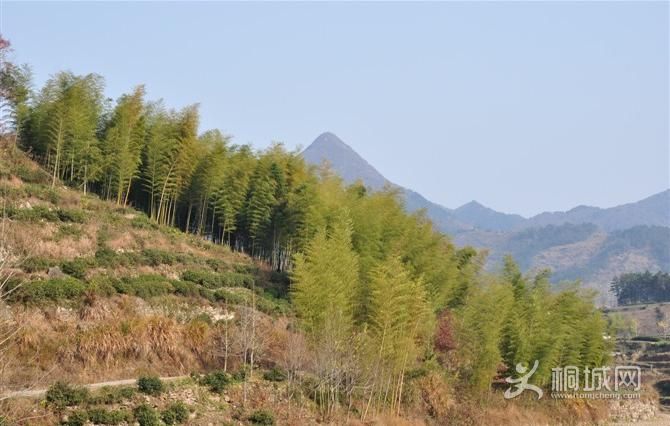 ͩ����������-ͩ����