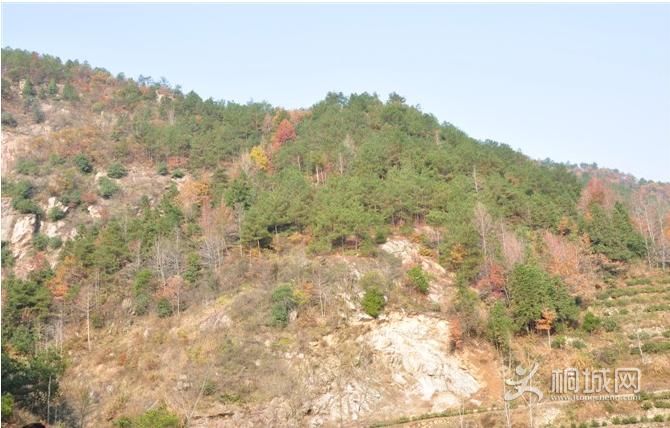 ͩ����������-ͩ����