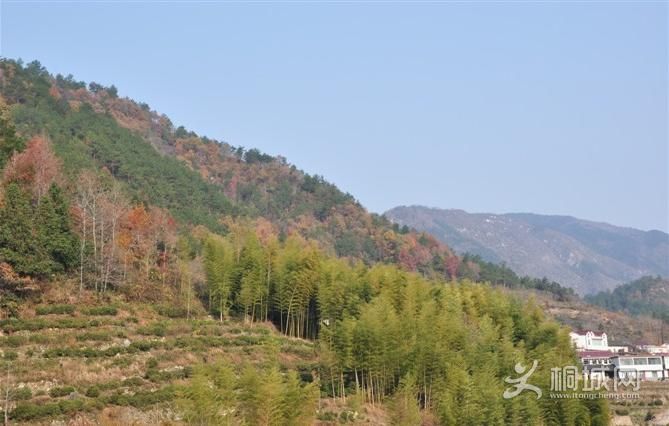 ͩ����������-ͩ����