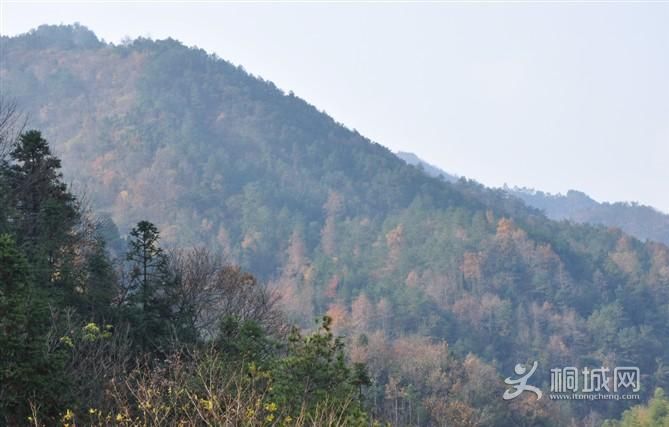 ͩ����������-ͩ����