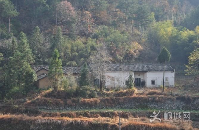 ͩ������������������-ͩ����