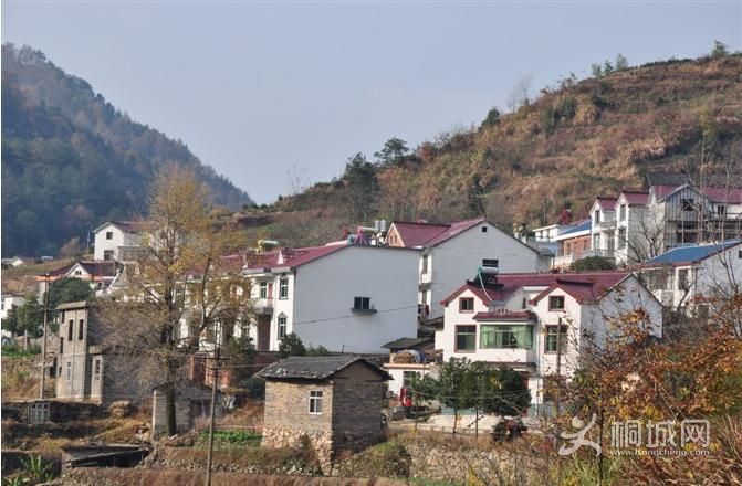 ͩ�������������-ͩ����