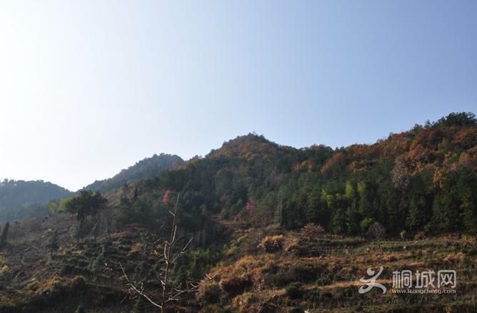 ͩ�������������-ͩ����