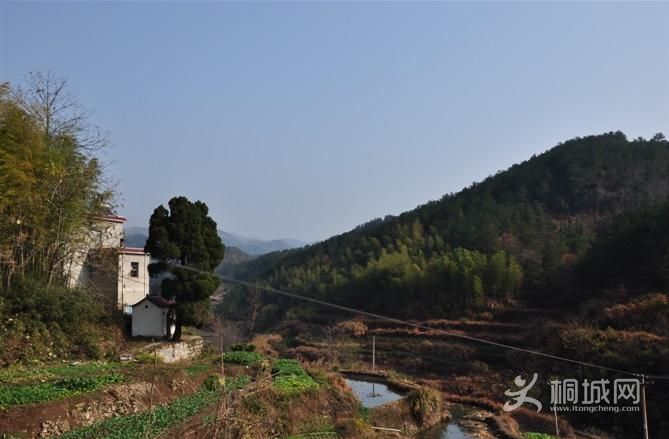 ͩ�������������-ͩ����