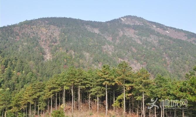 ͩ����������-ͩ����