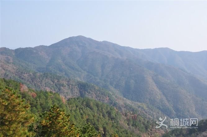 ͩ����������-ͩ����