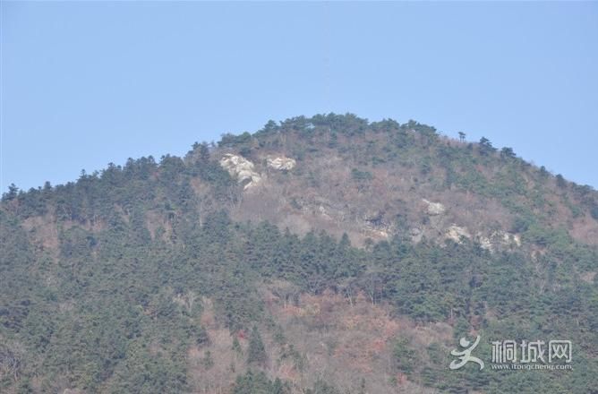 ͩ����������-ͩ����