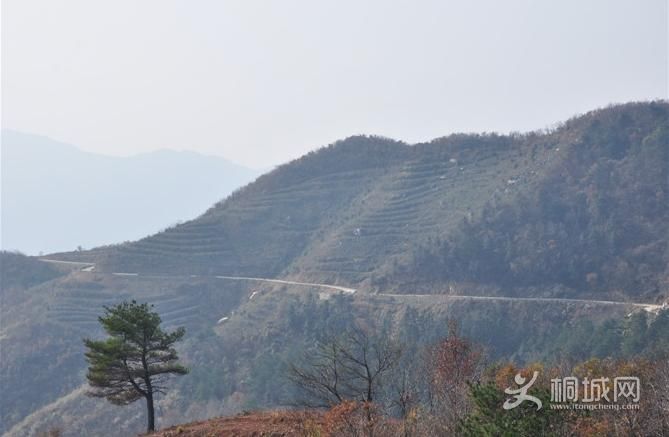 ͩ����������-ͩ����