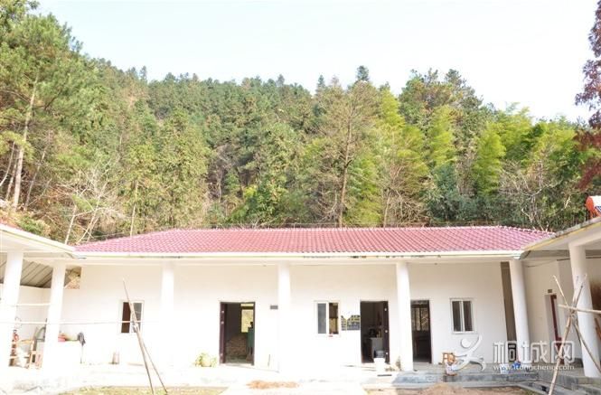 ͩ����������-ͩ����