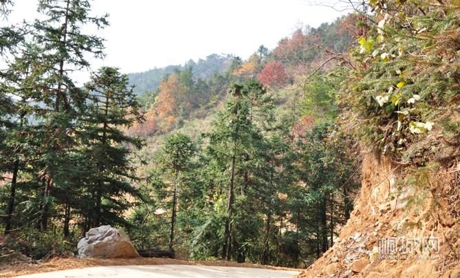 ͩ����������-ͩ����