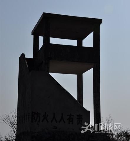 ͩ����������-ͩ����