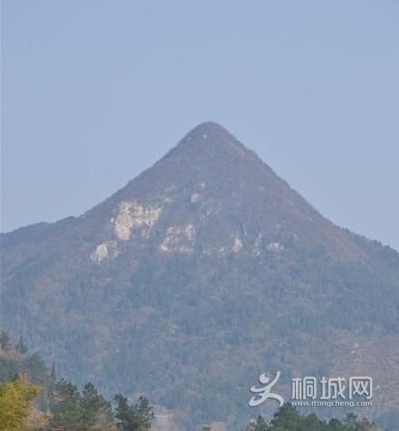 ͩ����������-ͩ����