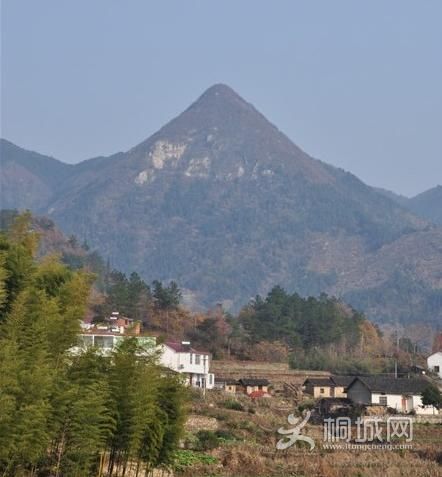 ͩ����������-ͩ����