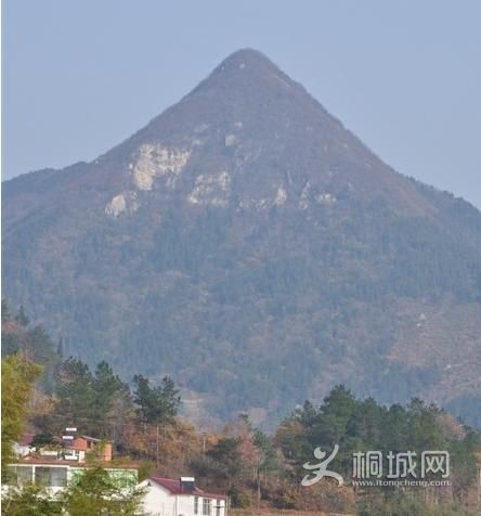 ͩ����������-ͩ����