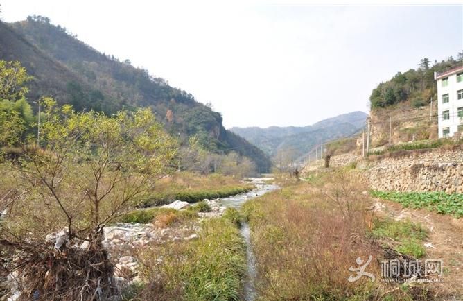 ͩ����������-ͩ����