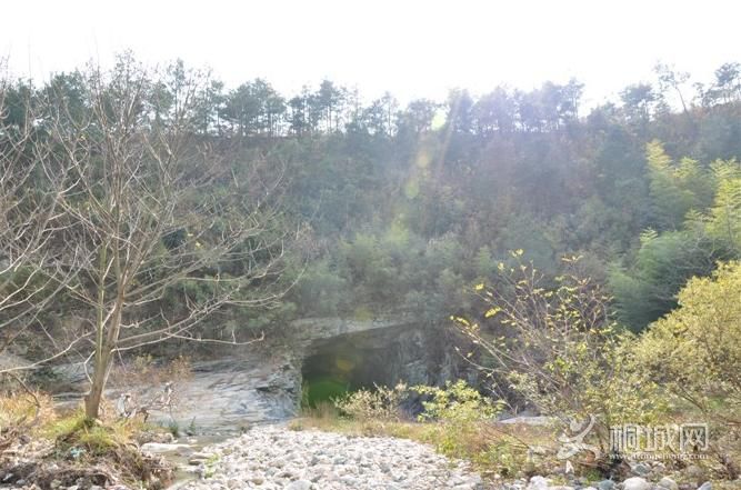 ͩ����������-ͩ����