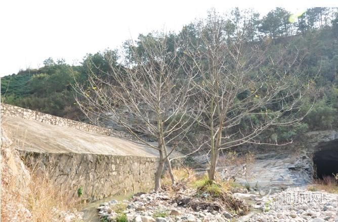 ͩ����������-ͩ����