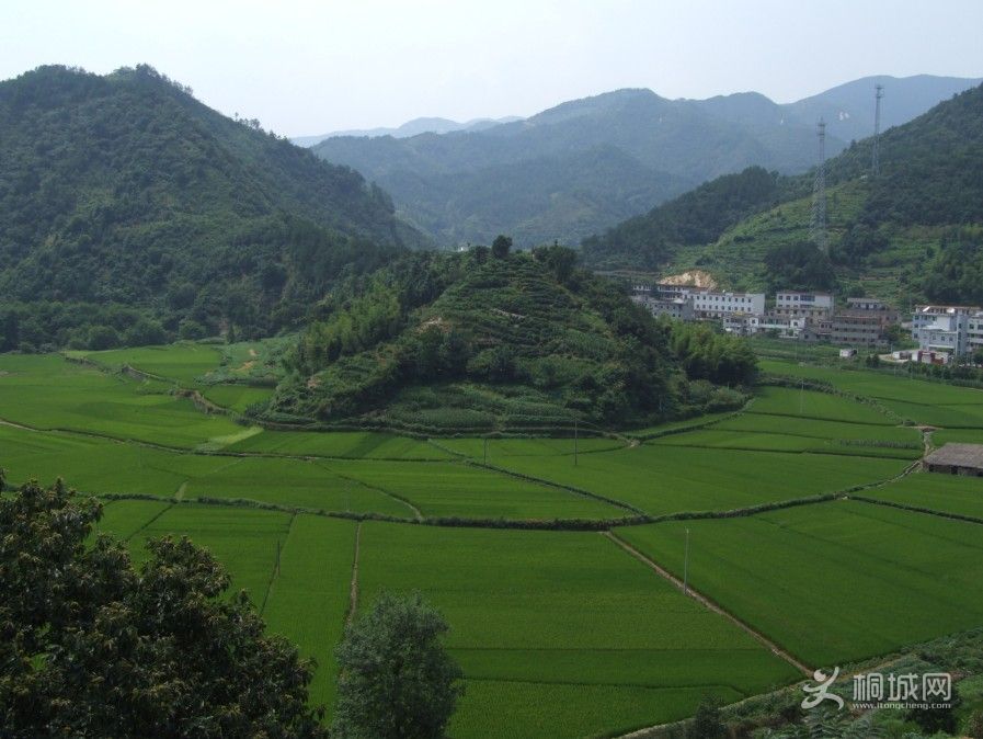 ͩ����������-ͩ����