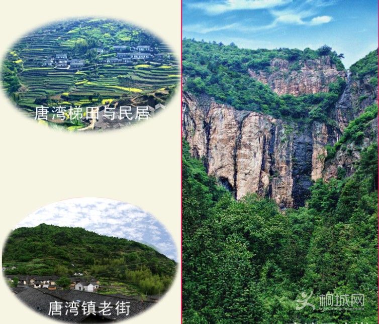 ͩ����������-ͩ����