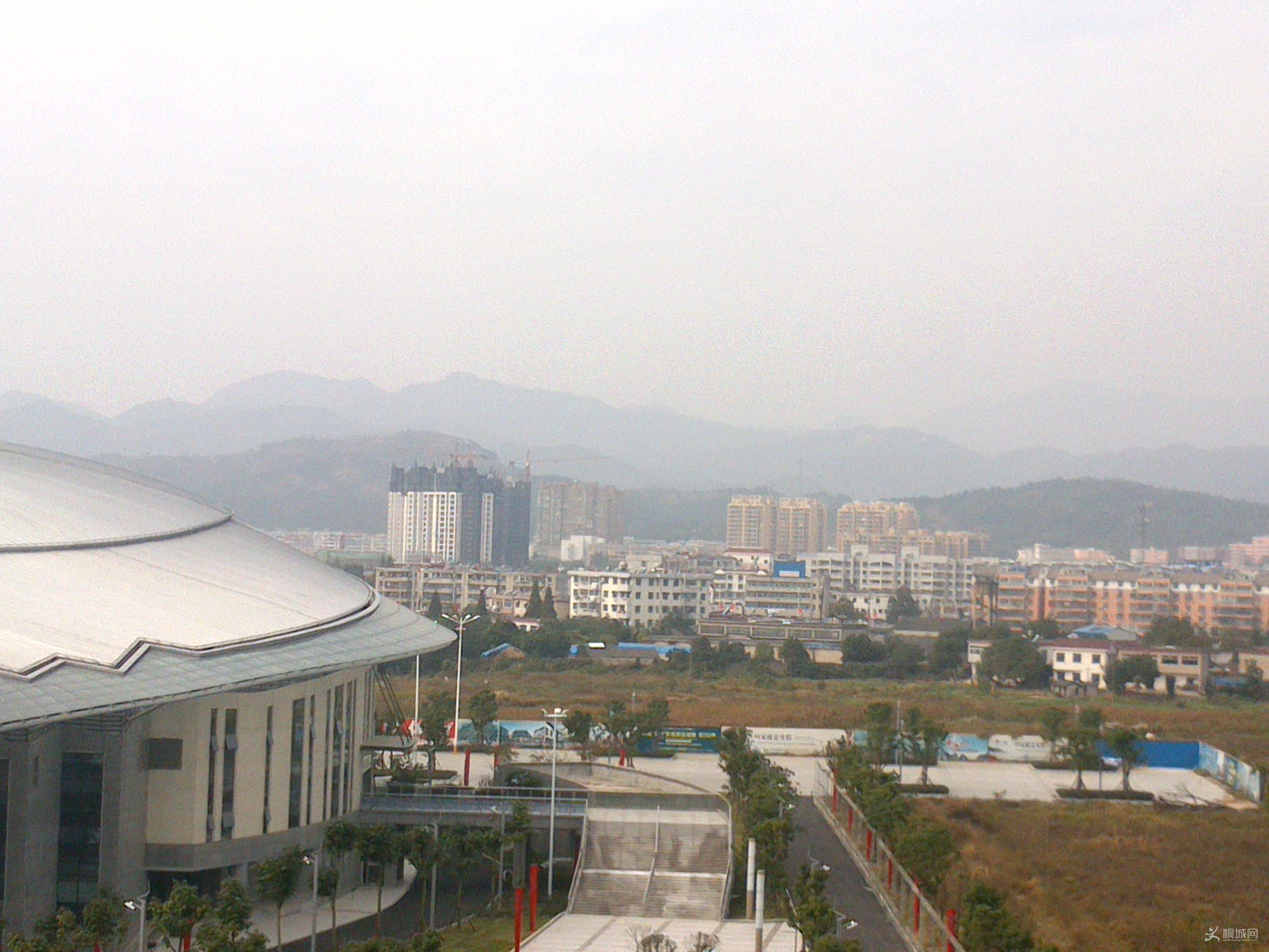 DSC_0229.jpg