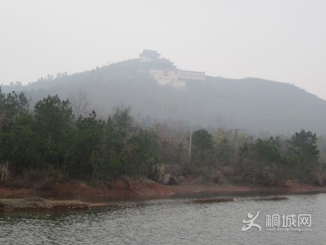 IMG_1849.jpg