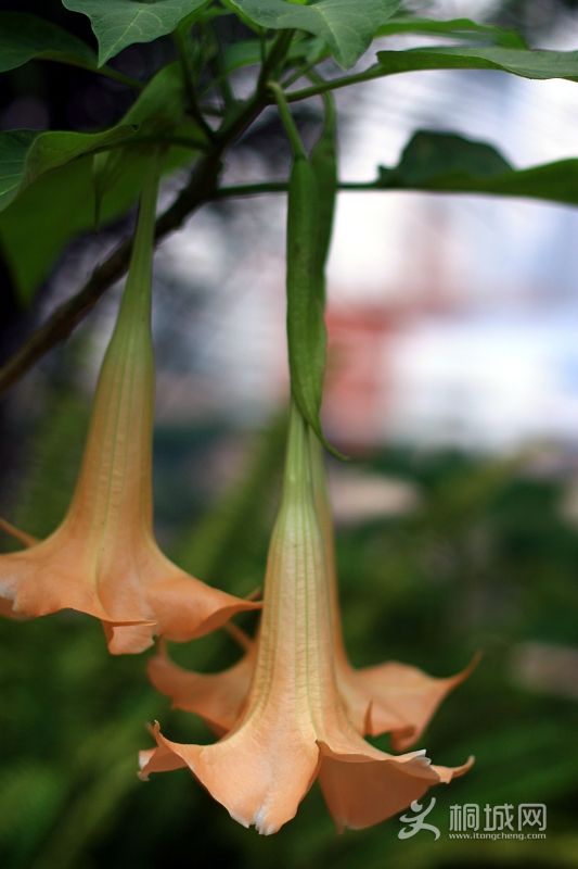 nEO_IMG_����һ�� 004.jpg