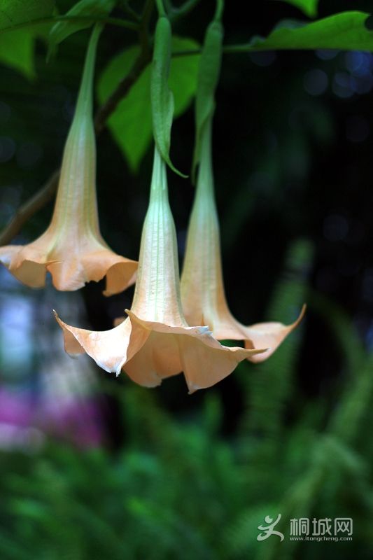 nEO_IMG_����һ�� 005.jpg