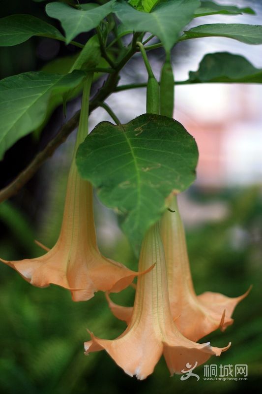 nEO_IMG_��һ�� 015.jpg