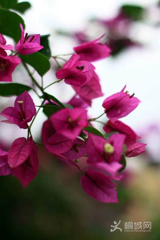 nEO_IMG_����һ�� 010.jpg