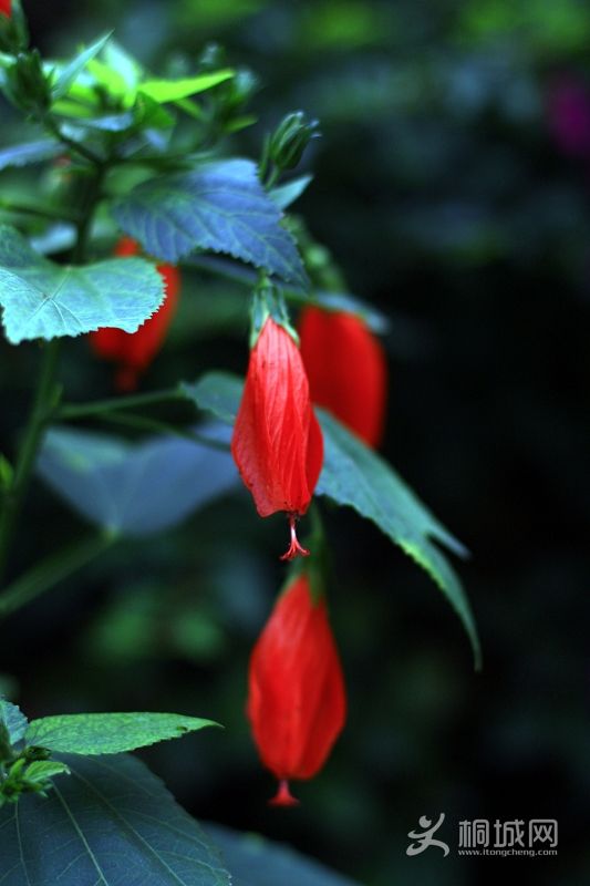 nEO_IMG_����һ�� 011.jpg