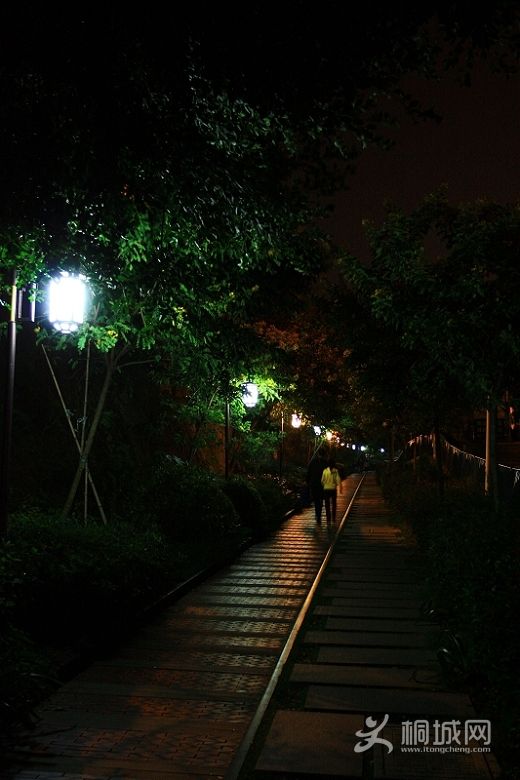 ����֮ҹ ���ˣ�.jpg