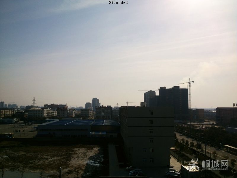 DSC_0294.jpg