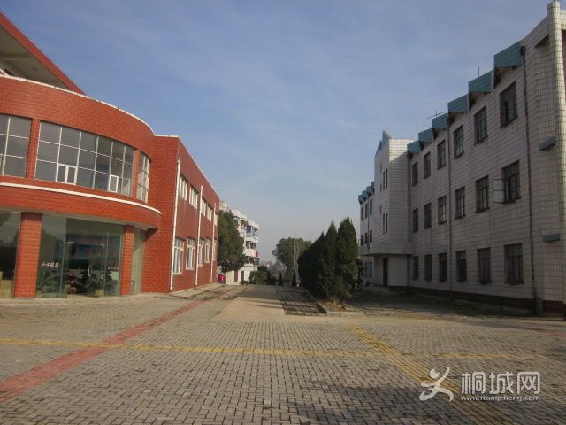 IMG_1921.jpg