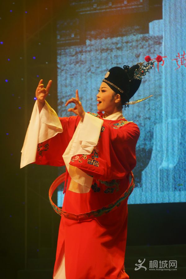 DSC00917.jpg