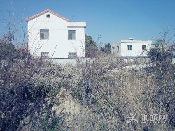 ���� IMG_1989_����.jpg