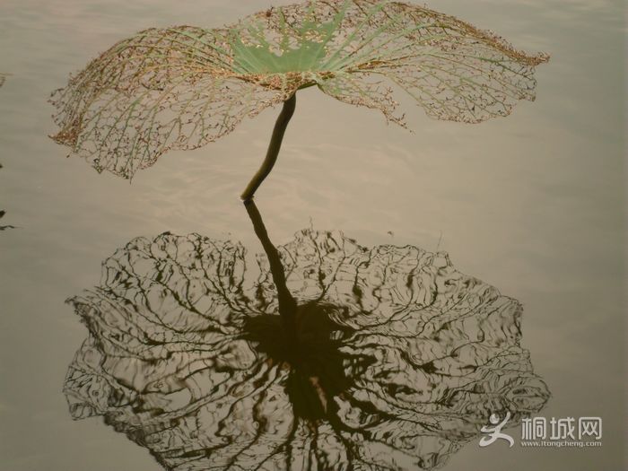 �к�����