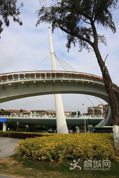 ������� 5.jpg