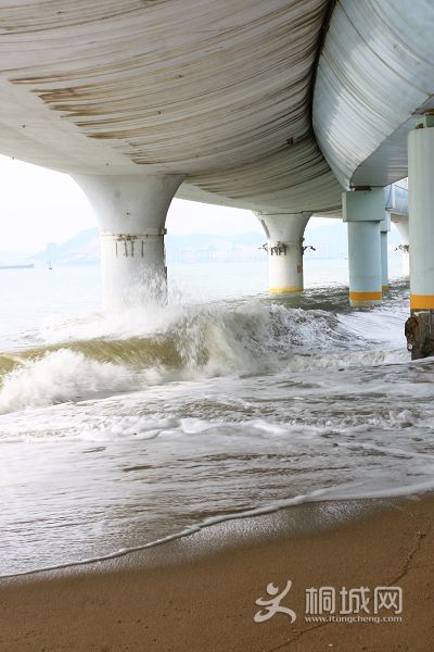 ������� 13.jpg