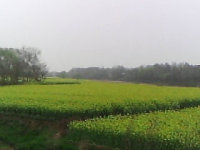 �Ӵ��ϵĻ���