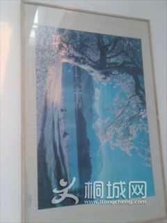  �峿����������˲ݼ��ϵ�¶�飬������ǧ���С̫��������������ҵ��۾������������������ߵ���